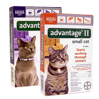 Advantage II for Cats